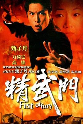 精武门国语1995第09集
