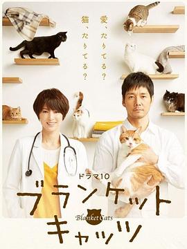 毛毯猫第03集