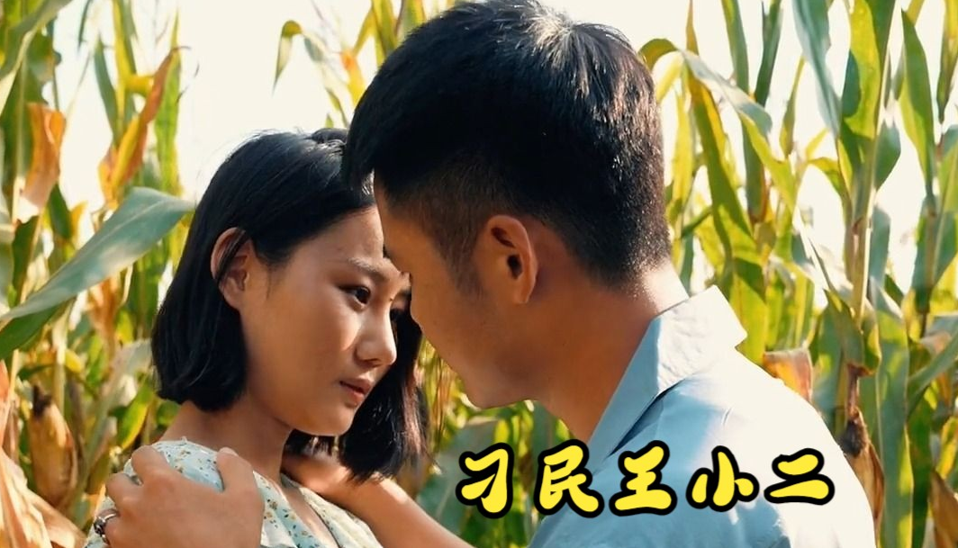 刁民王小二第14集