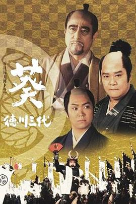 葵 德川三代第19集