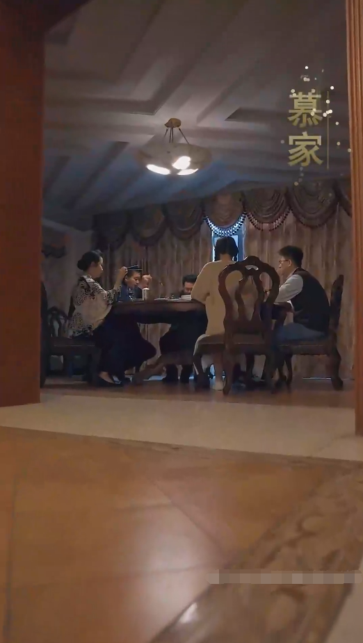 我成了段总的腹黑女保镖第67集(大结局)