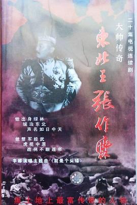 大帅传奇第11集