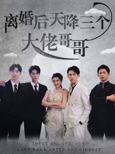 离婚后天降三个大佬哥哥第82集