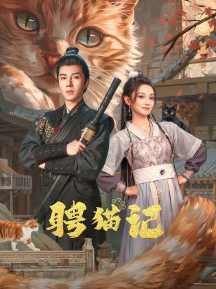 聘猫记第06集