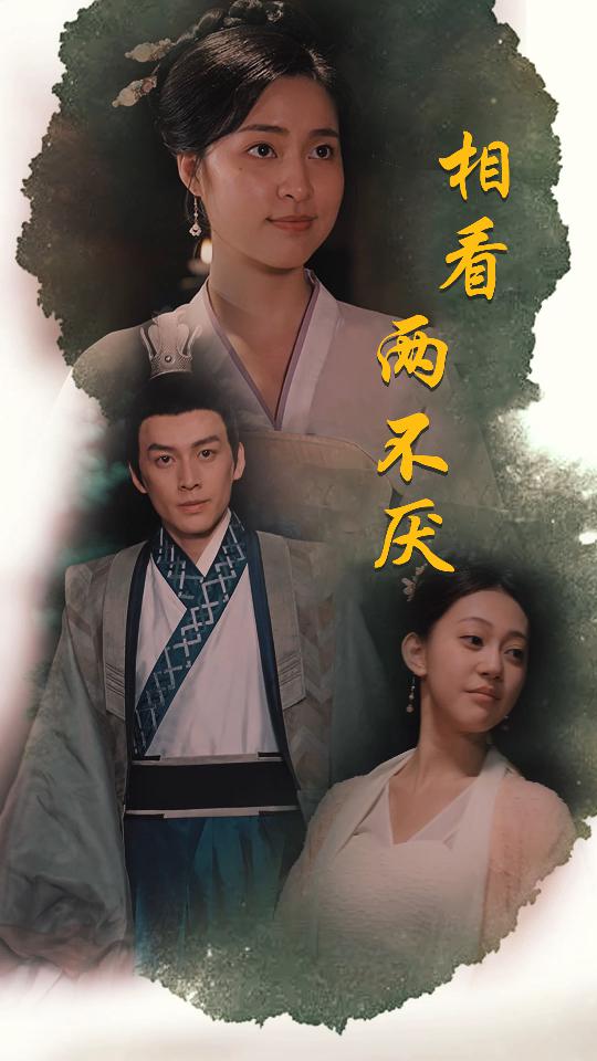 相看两不厌第17集