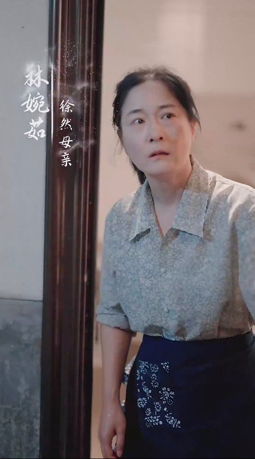 谁怜天下慈母心短剧第64集