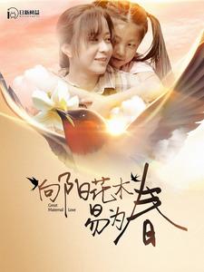 向阳花木易为春第89集