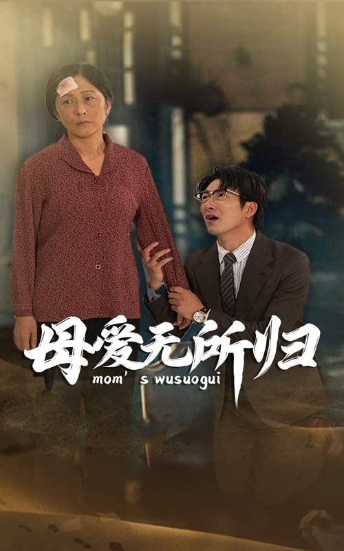 母爱无所归第26集