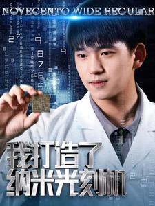 我打造了纳米光刻机第20集
