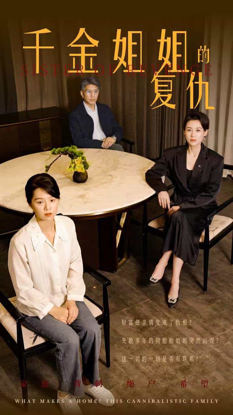 千金姐姐的复仇第51集