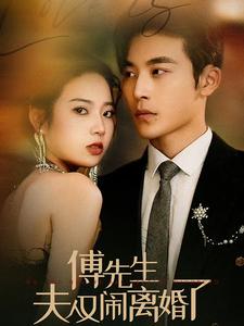傅先生夫人又闹离婚了第29集