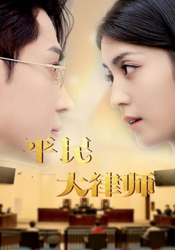 平民大律师第23集