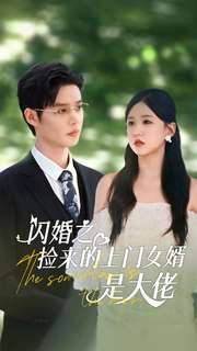 闪婚之捡来的上门女婿是大佬第30集