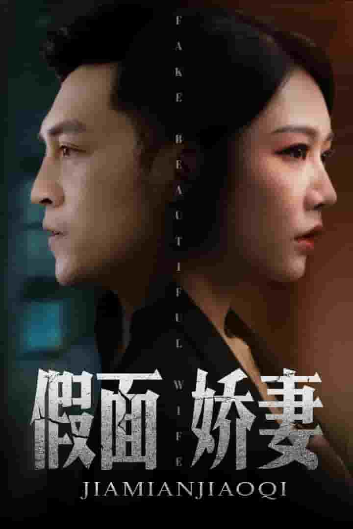娇妻的谎言第14集