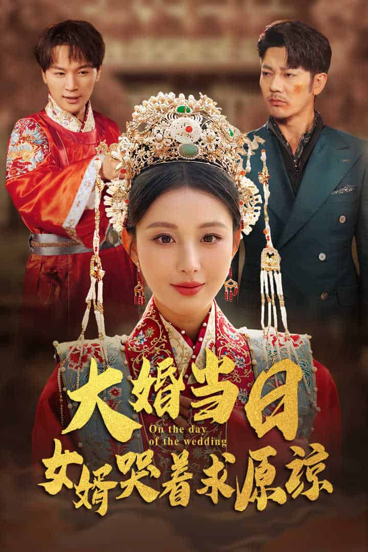 大婚当日，女婿哭着求原谅第12集