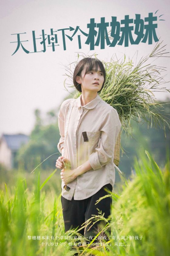 天上掉下个林妹妹第14集