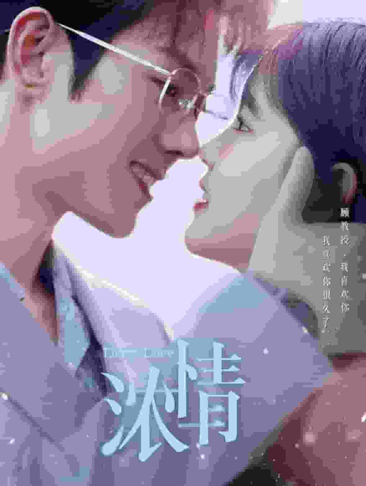 浓情第29集