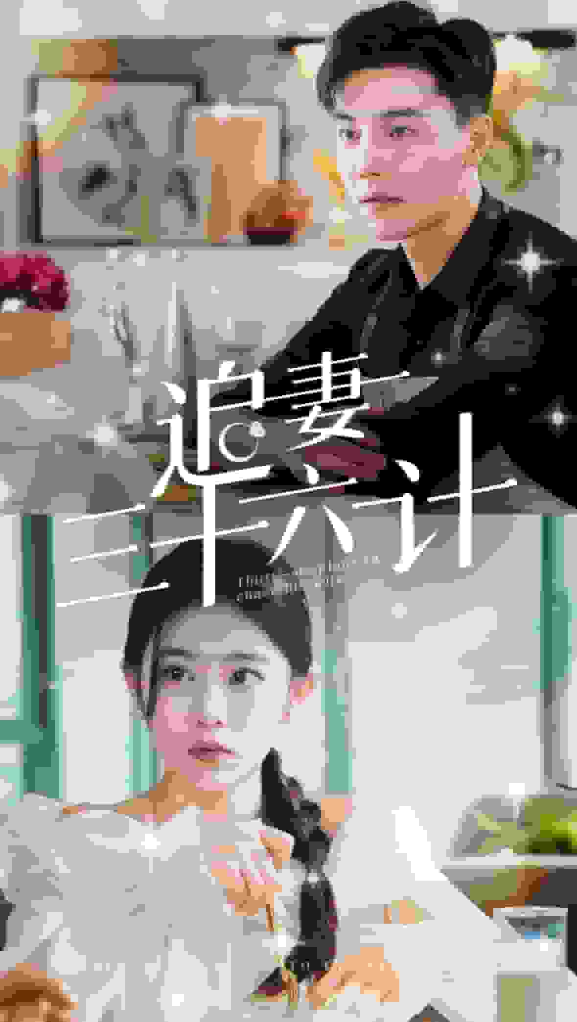 追妻三十六计第24集