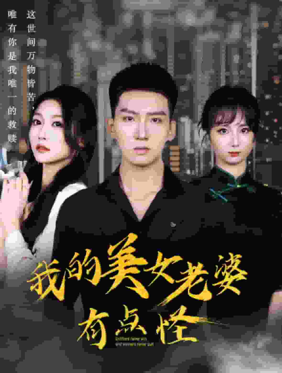 我的美女老婆有点怪第24集