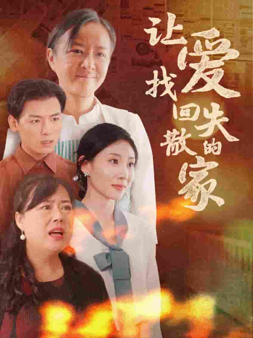 让爱找回失散的家第19集