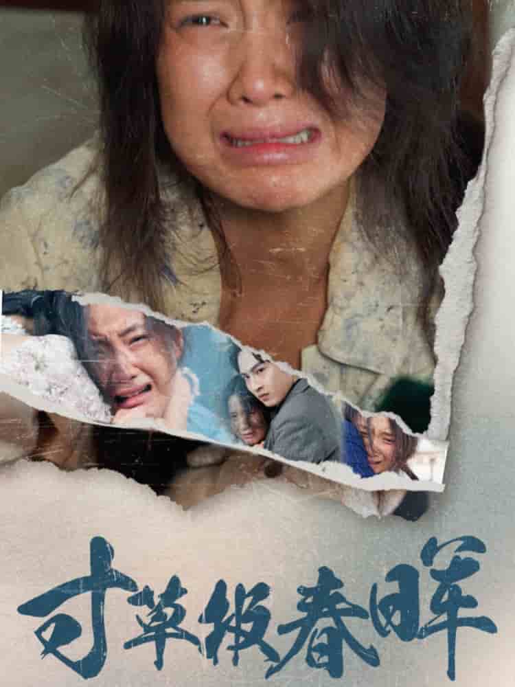 寸草报春晖第36集