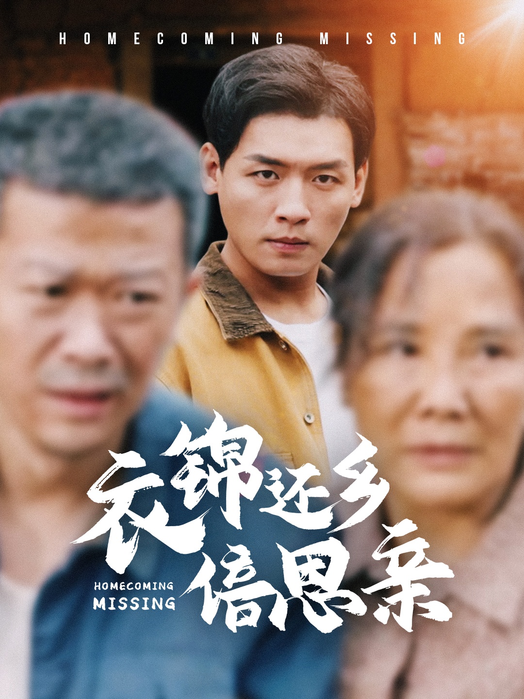 衣锦还乡倍思亲第34集