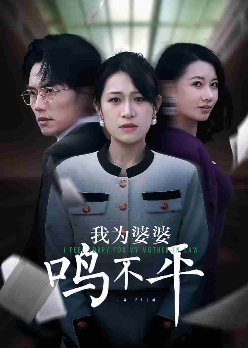 我为婆婆鸣不平第32集