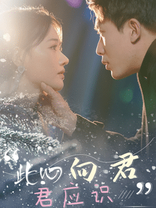 此心向君君应识第32集