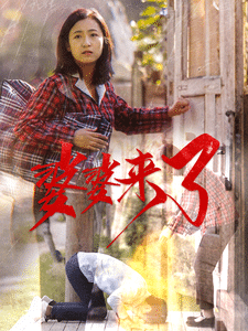 婆婆来了（短剧版）第6集