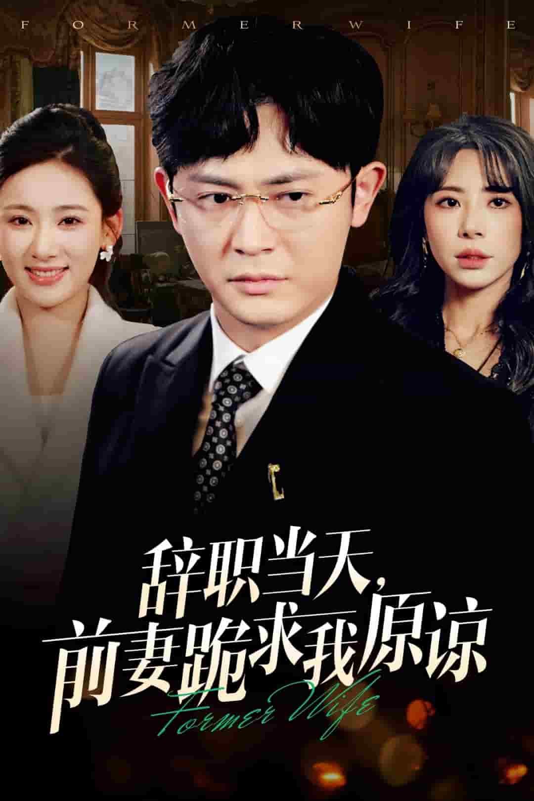辞职当天前妻哭着求我原谅第2集
