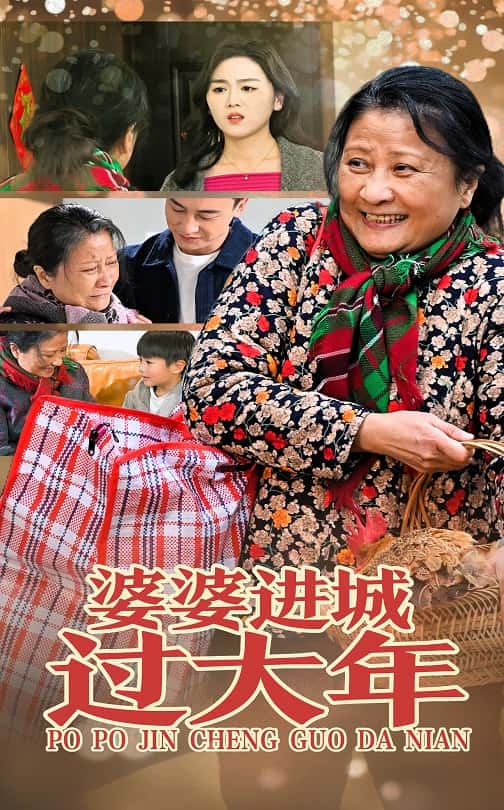 婆婆进城过大年第9集