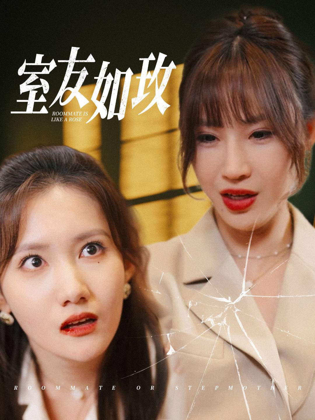 室友如玫第32集