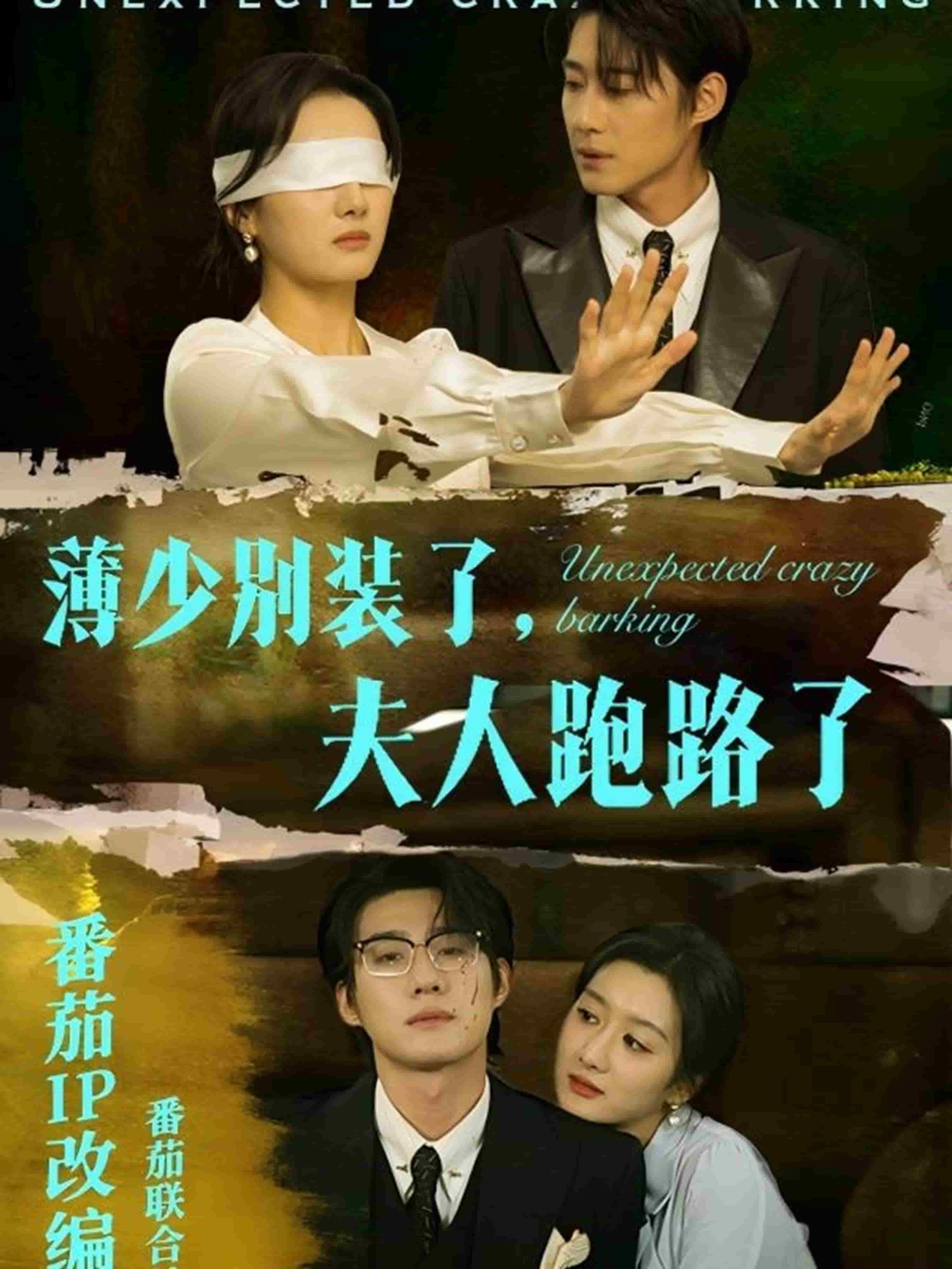薄少别装了夫人跑路了第39集