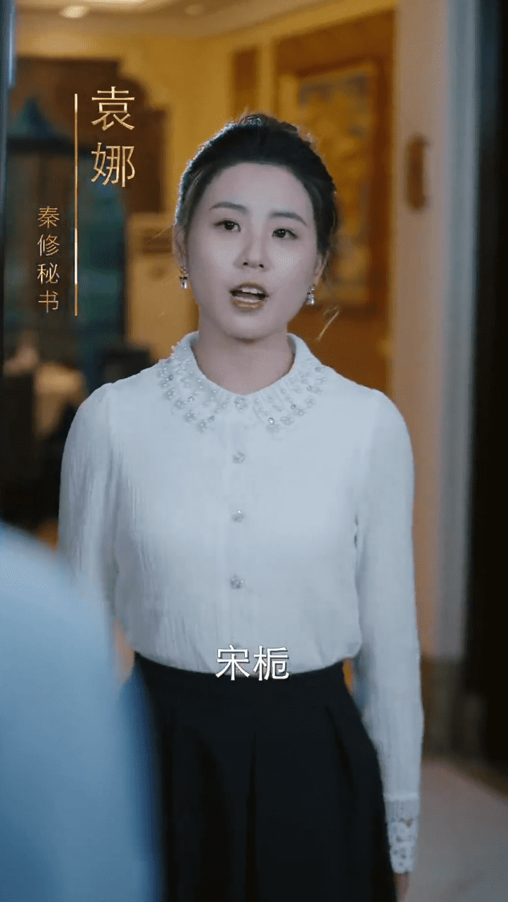 人有悲欢离合第28集