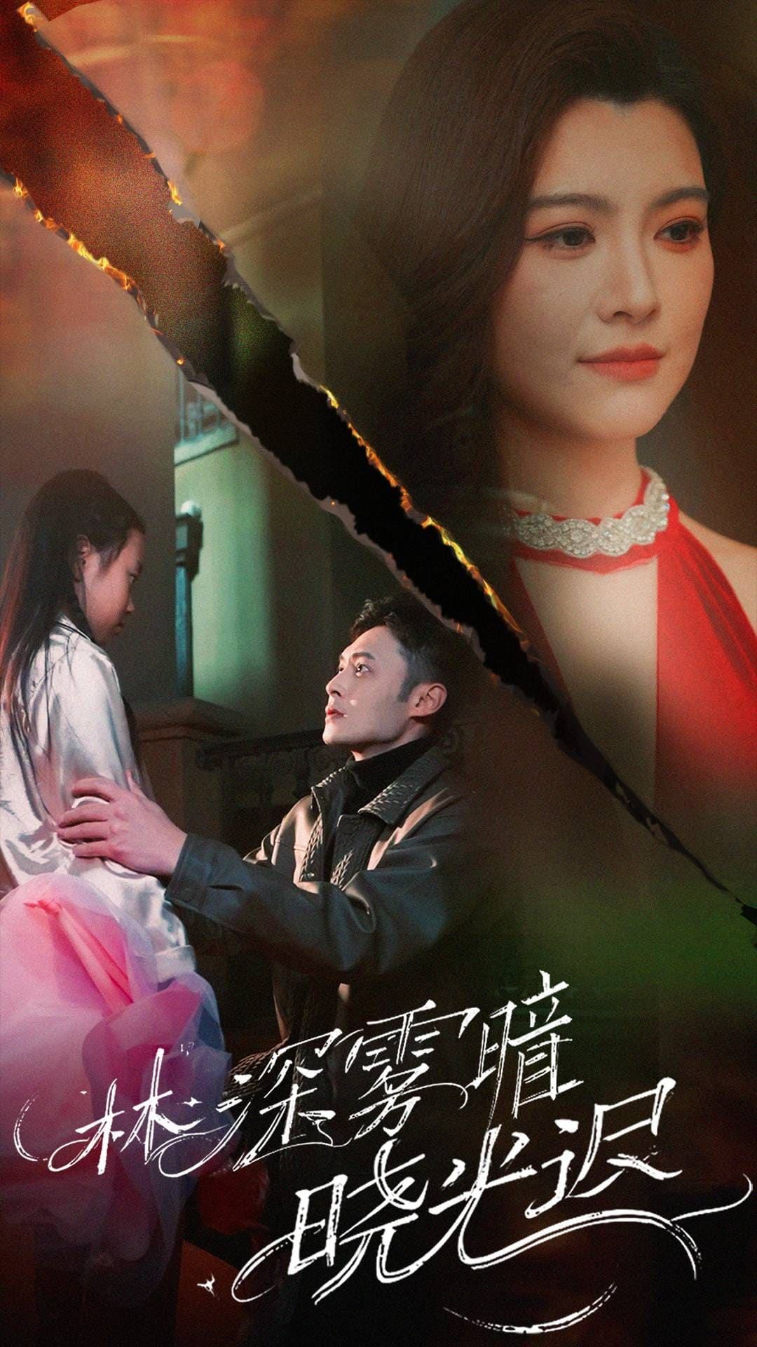 林深雾暗晓光迟第25集
