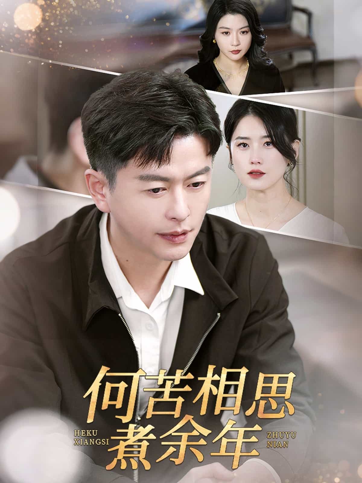 何苦相思煮余年第45集