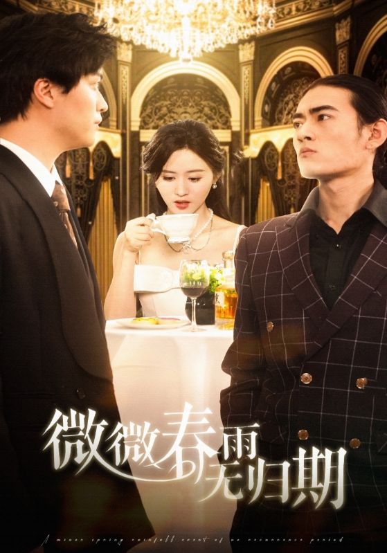 微微春雨无归期第1集