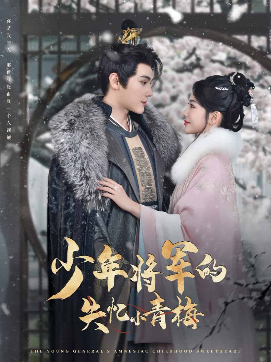 少年将军的失忆小青梅第1集