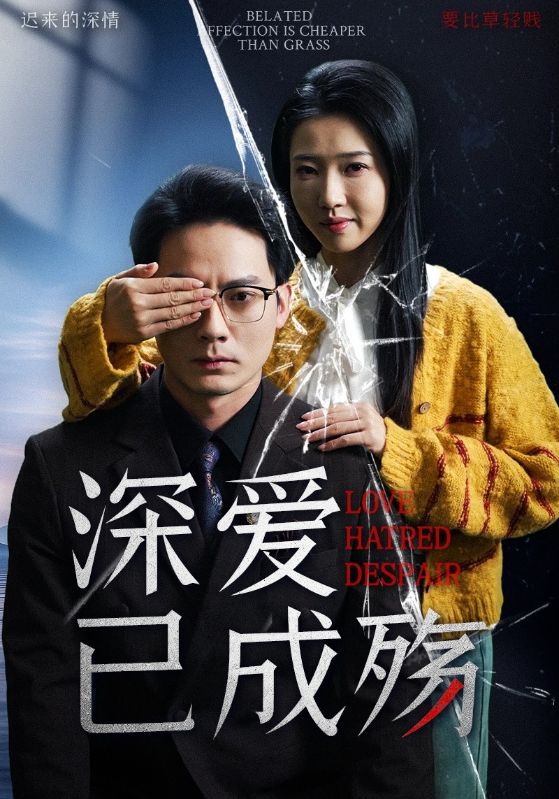 深爱已成殇第5集