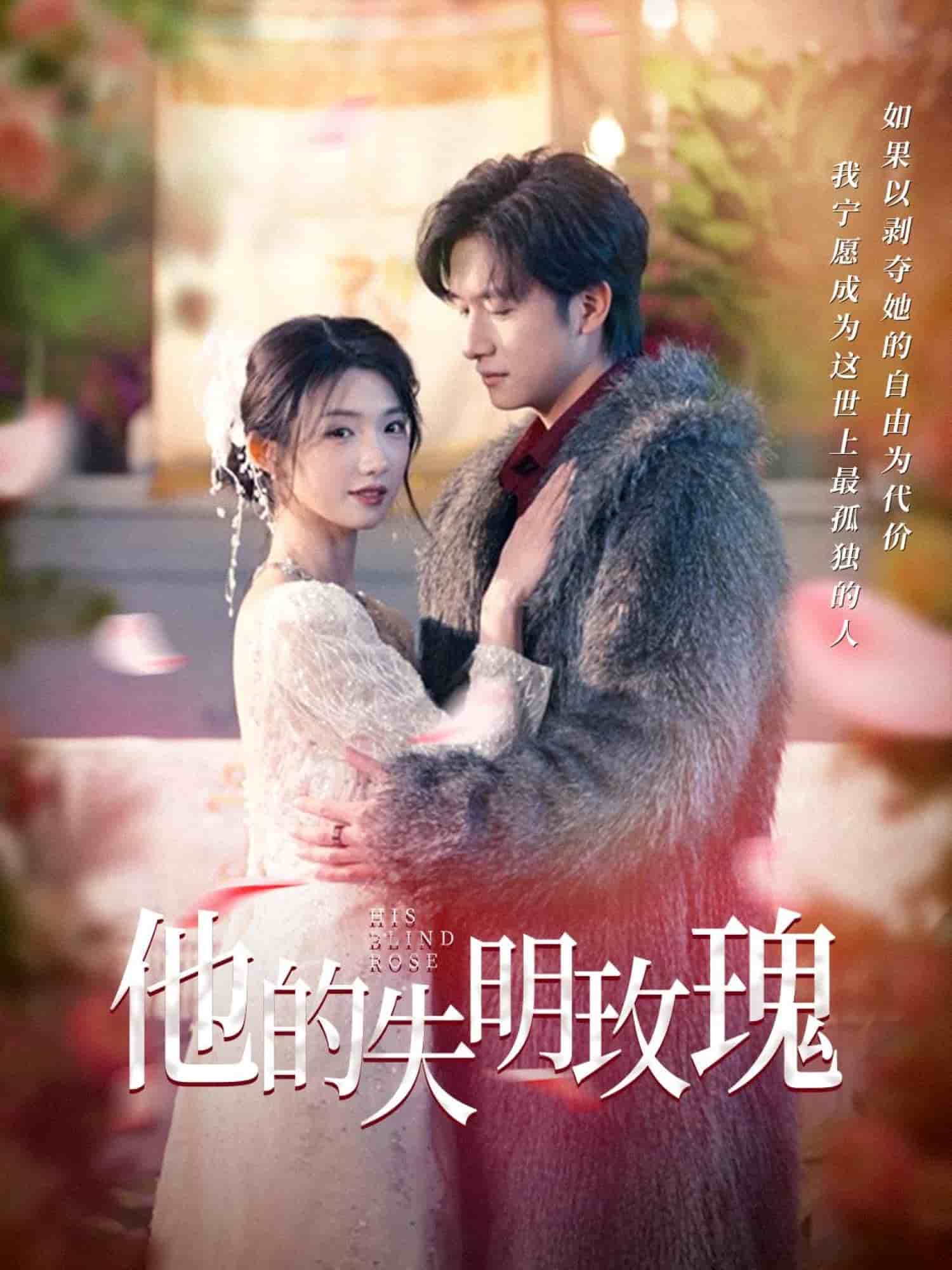 他的失明玫瑰第59集