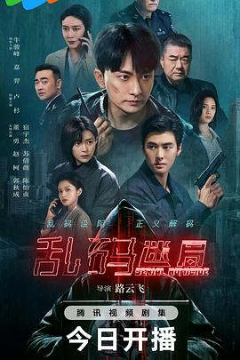 乱码迷局第16集