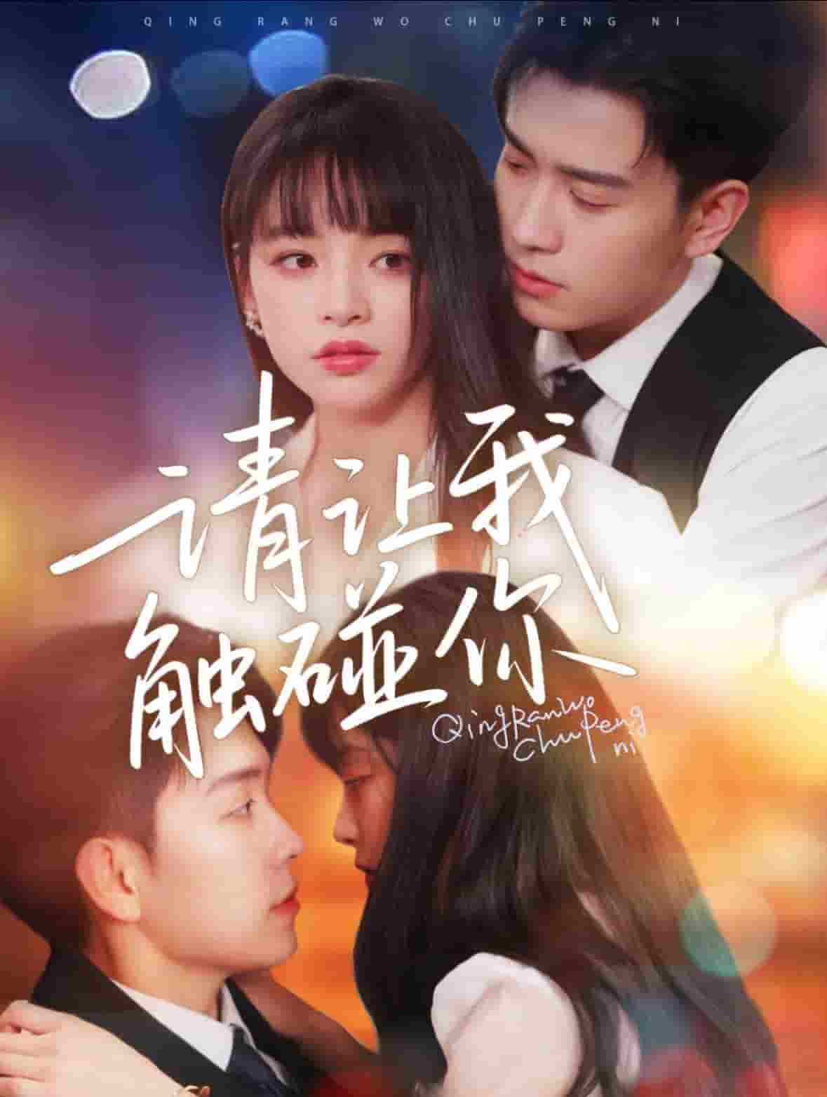 请让我触碰你第45集