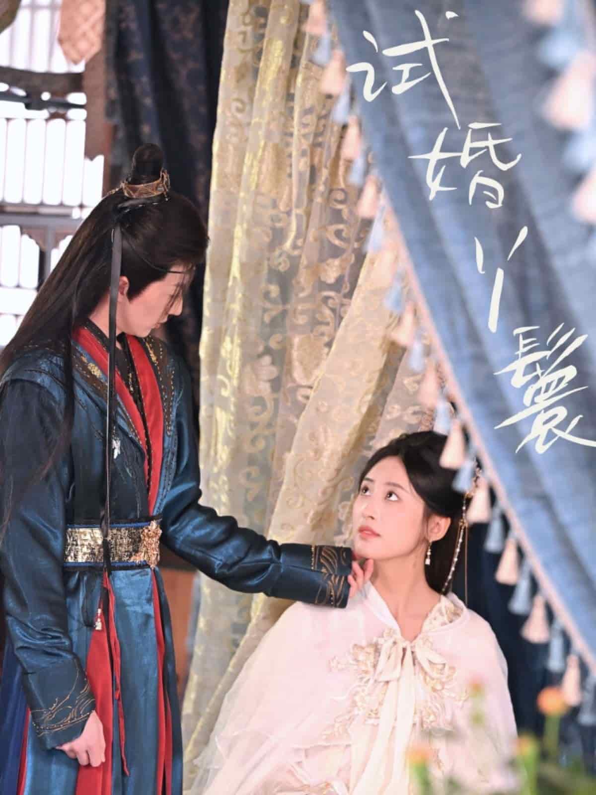 试婚丫鬟第36集