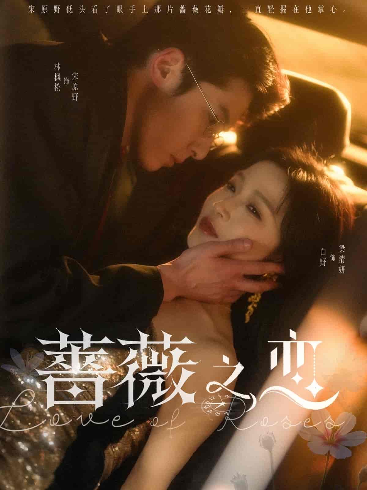 蔷薇之恋第17集