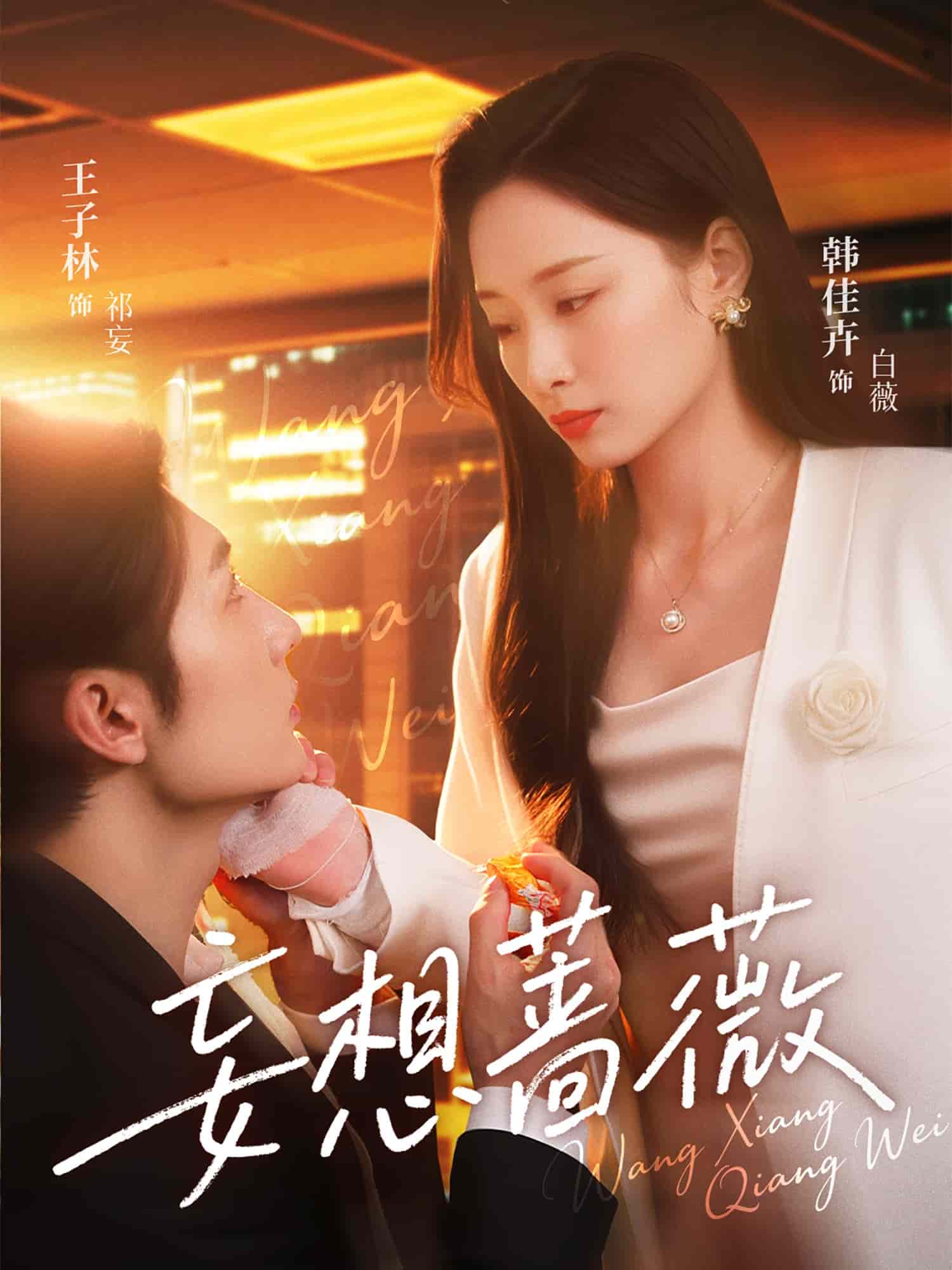 妄想蔷薇第29集