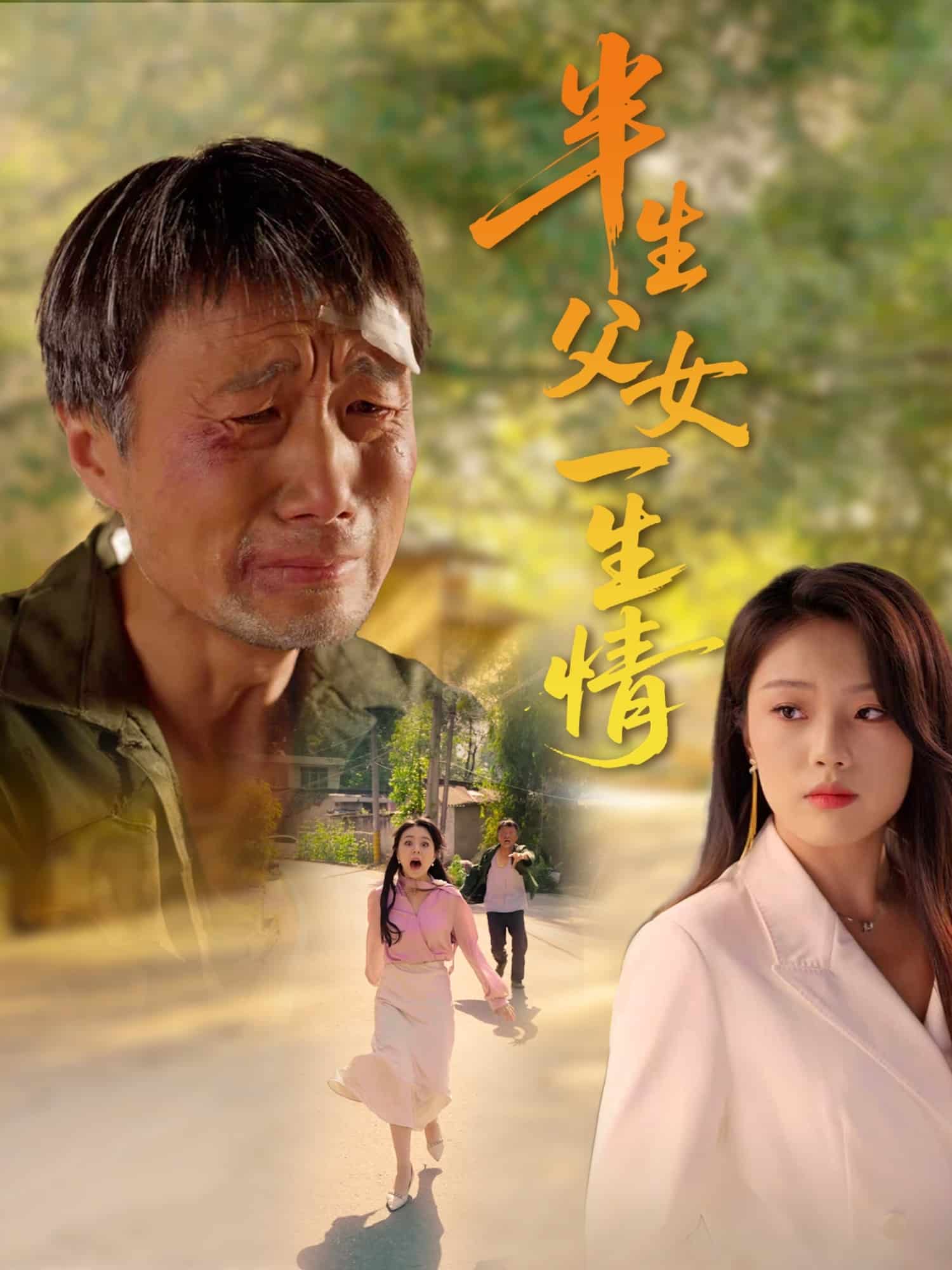 半生父女一生情第16集