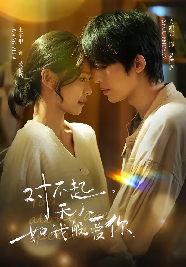 对不起，无人如我般爱你第29集