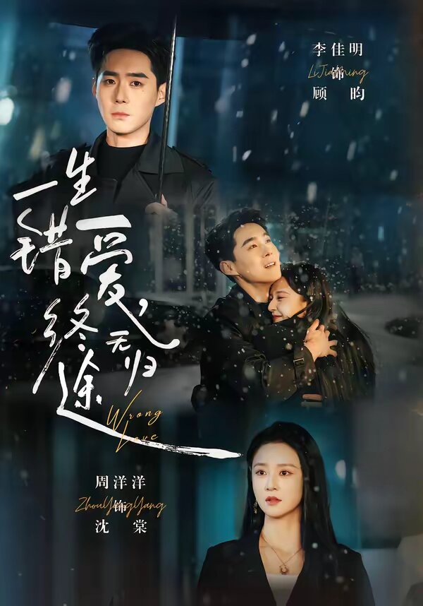 一生错爱，终无归途第09集